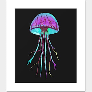 Jellyfish Posters and Art